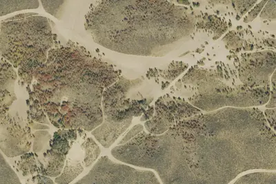 Camp site