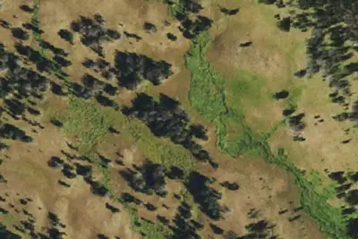 Camp site