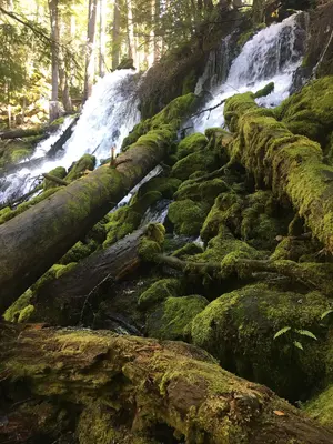 Clearwater falls from a side view