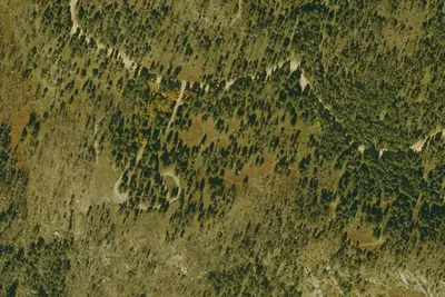 Cunningham Campground