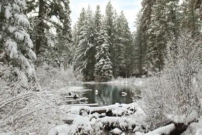 Lake Creek in snow, Oregon - Flickr - Bonnie Moreland (free images)