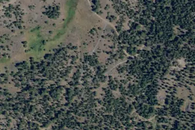 Moss Meadows Horse Camp