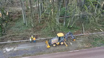 January 2024 winter storm cleanup - 53474060298