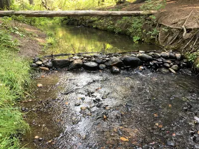 2018 365 229 I Make Dams (42339223940)