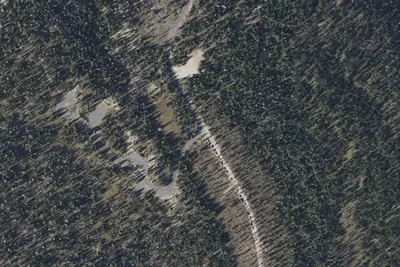 Washington Lake Group