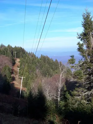 Mount Mitchell State Park - panoramio