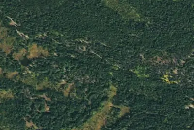 Camp site