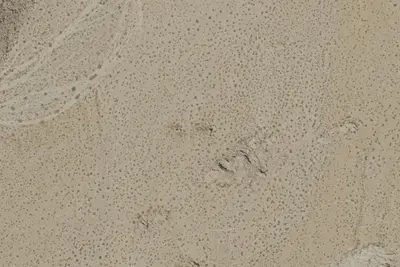 National Park Service Site 2