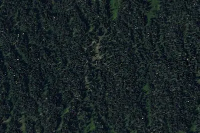 Green Timber Camp