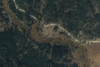 Slash Piles