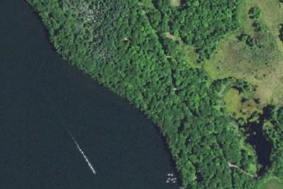 Cayuga