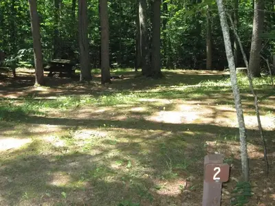 Little bass lake campsite 2