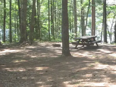 Little bass lake campsite