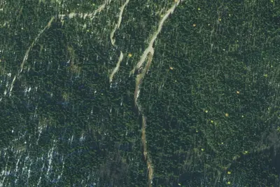 Fs Road 294