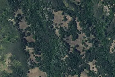 Turkey Springs Camp