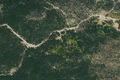 Camp site