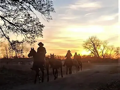 Horseback at Jorgen's Hollow Campground