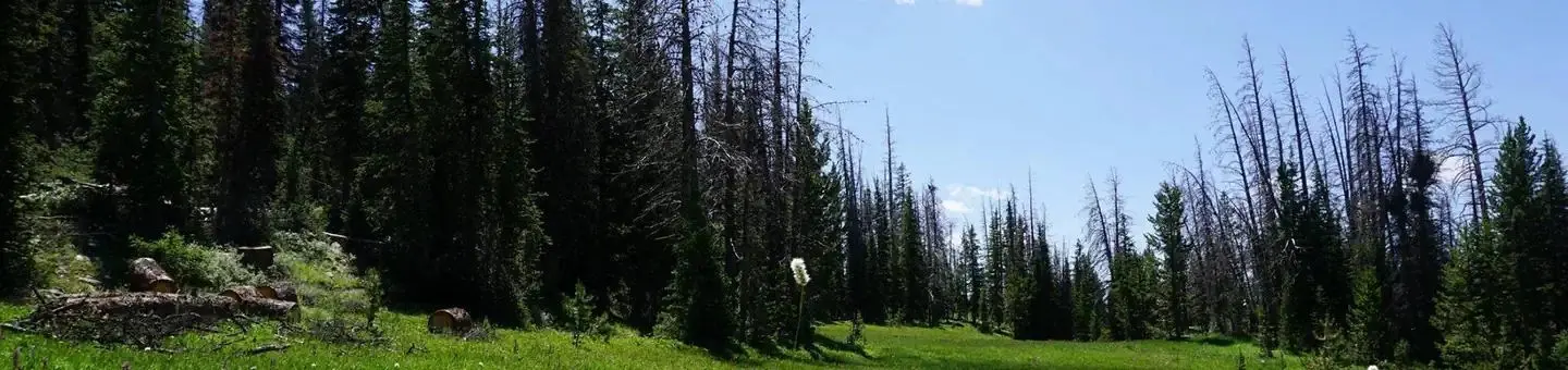 Lost Creek Campground