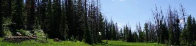 Lost Creek