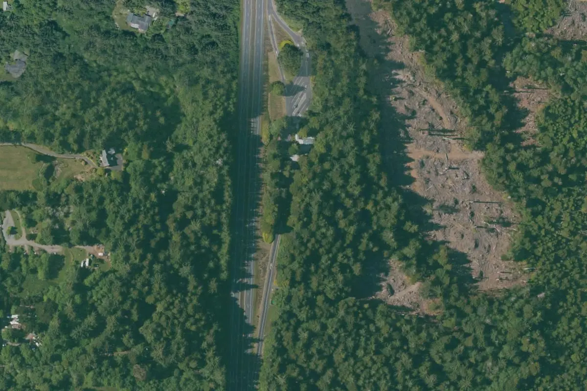 Aerial view