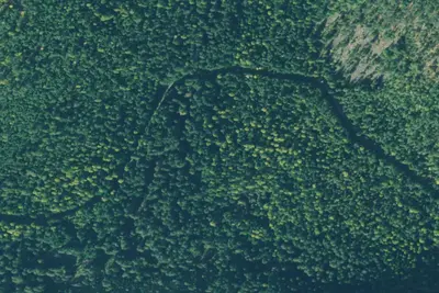 Rd 407 Site 5