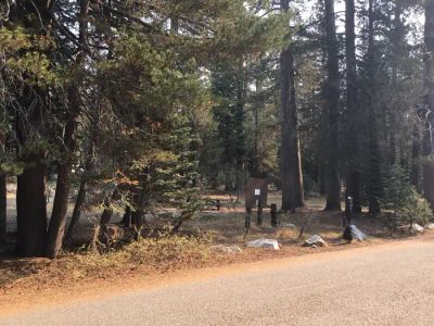 (Lake Alpine) Backpackers