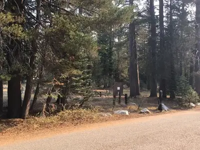 (Lake Alpine) Backpackers