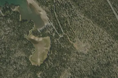 Little Fawn Group Site