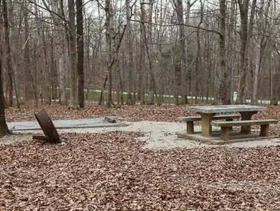 Campsite B 24