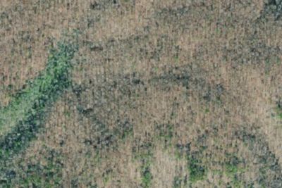 Primitive Campsite 1