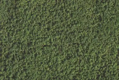 Group Site