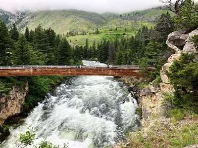 Natural Bridge (51882346513)