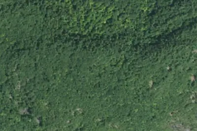 Camp site