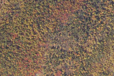 Camp site