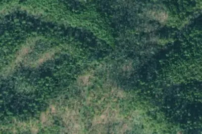 Camp site