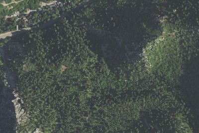 Camp site