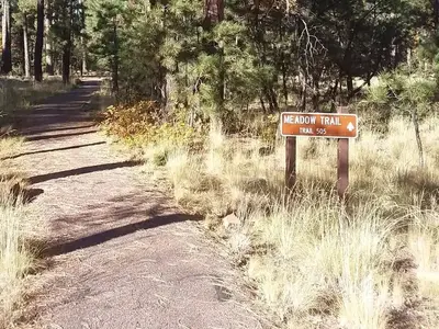 Meadow Trail