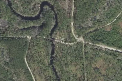 Gully Branch #1 Camp