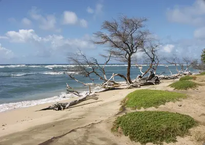 Hanoapilani Beach - panoramio