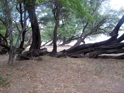 Kapoli Beach Park 2009-07
