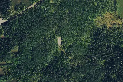 Camp site