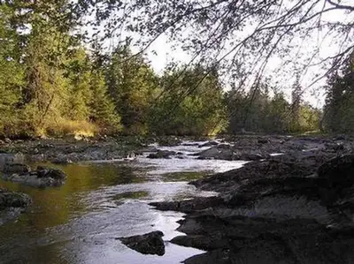 Castle river cabin6