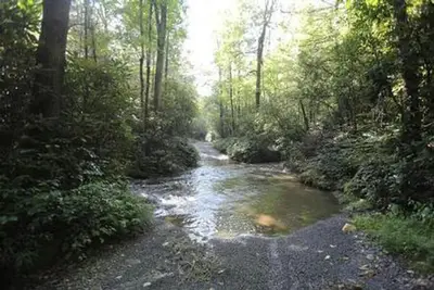 Cove creek upper group campground.