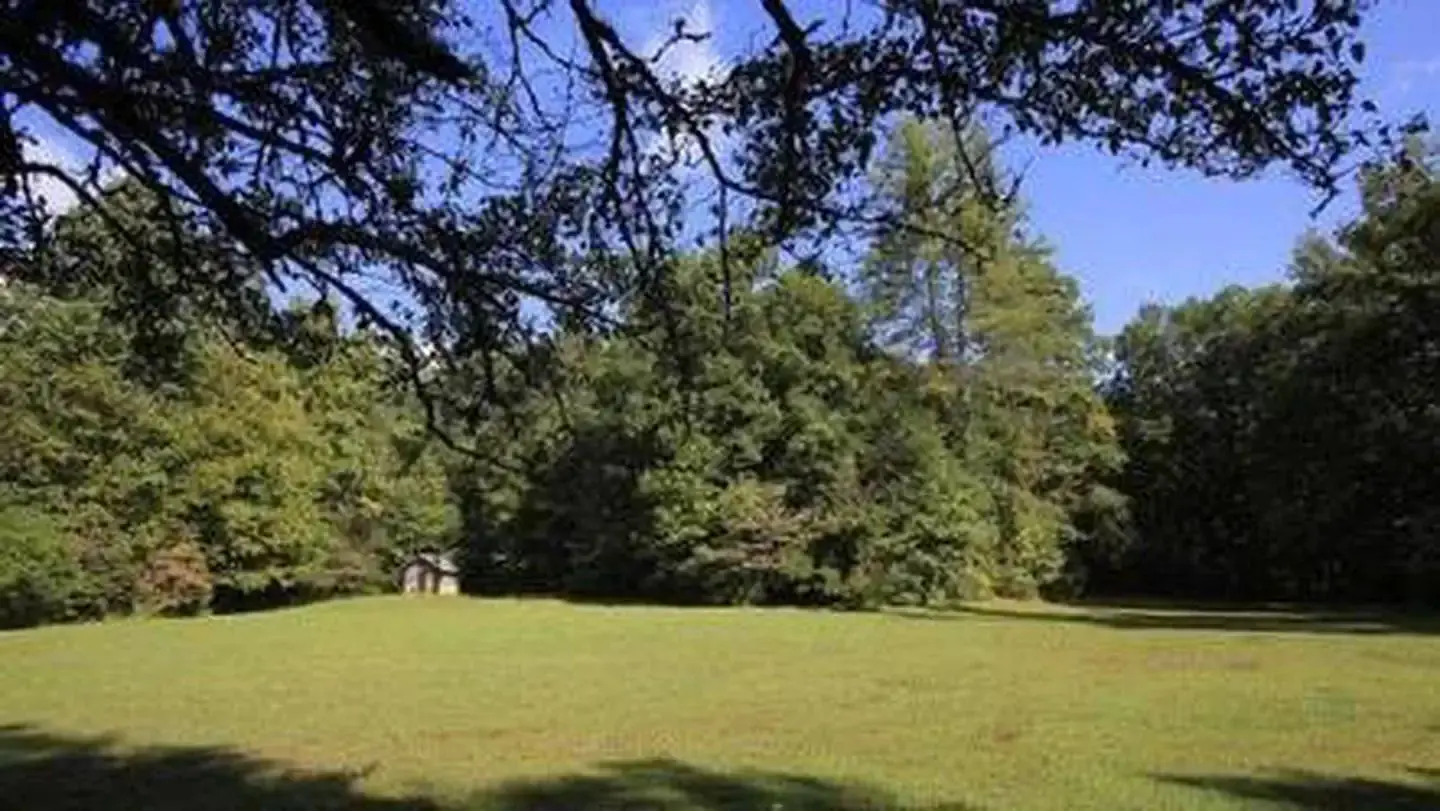 Upper Cove Creek