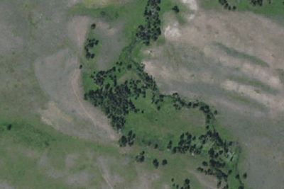 Lower Blacktail Creek