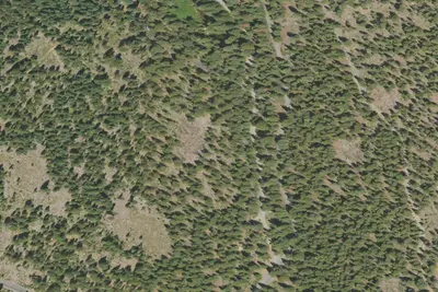 Camp site