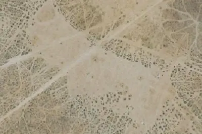 Camp site