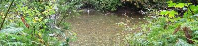 Beckler River