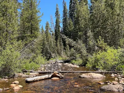 Chiquito Creek in rural Madera County, California 02