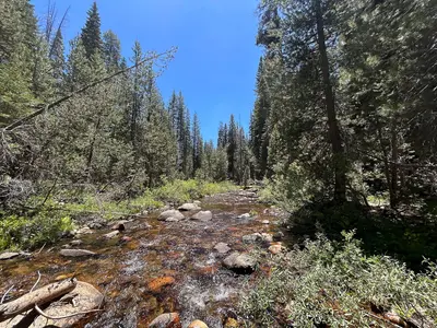 Chiquito Creek in rural Madera County, California 05